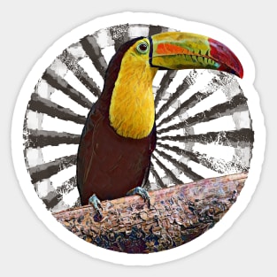 Toucan Retro Circle Wheel Design Sticker